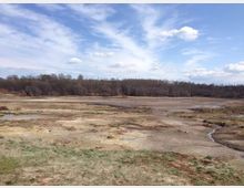 53523-photo-il-primo-re-caldara-di-manziana-roma-rm-2-jpgjpg