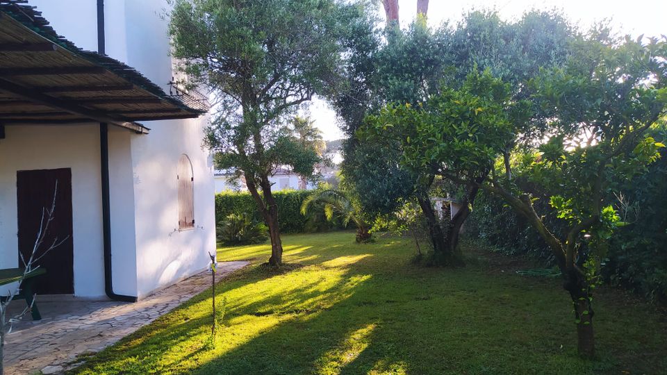 Giardino con prato curato accanto a una casa intonacata di bianco, con portico in legno e camminamento in pietra lungo il muro. Alberi e arbusti mediterranei proiettano ombre lunghe sul prato, con siepe sullo sfondo.