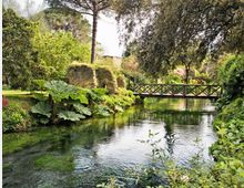 52209-photo-9-960x750-jpgjpg