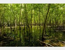 54067-photo-piscina-verdesca-760x475-jpgjpg