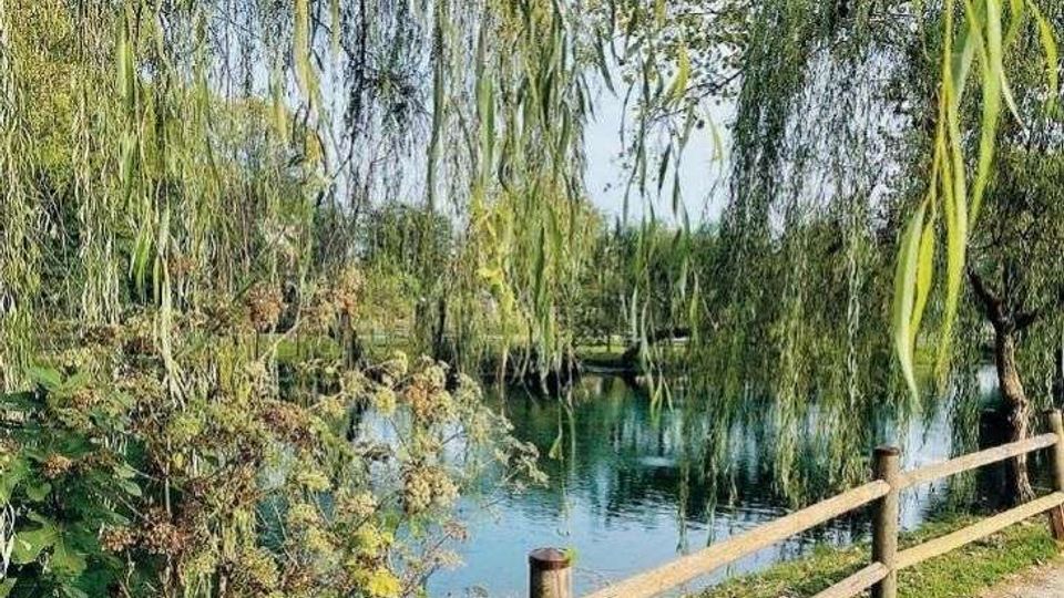 58302-photo-214917-7k4ijj9-jpgjpg