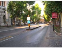Strada urbana ampia fiancheggiata da grandi alberi, con spartitraffico centrale e segnaletica stradale vicino a un semaforo. Ai lati si vedono marciapiedi e facciate di edifici, con un cartello pubblicitario su un palo sul lato destro.