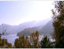 929-5793006ba80adc23cadade6cf32239afjpg