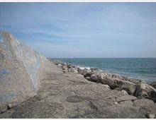 492-577d5ca65405a1e6dff69242eee2151ajpg