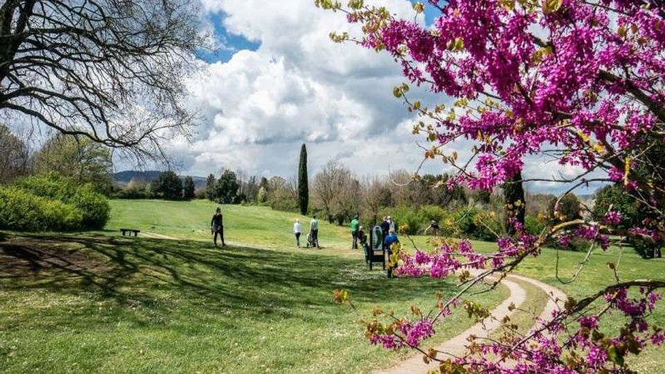 Parco erboso con un sentiero curvo in terra battuta che attraversa una radura, con alberi sparsi e colline sullo sfondo. In primo piano si vede un albero in fiore con fiori fucsia, sotto un cielo parzialmente nuvoloso.