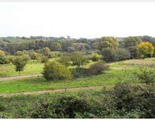 560-f8648db1d14cd59a2ed86778ed35fbafjpg