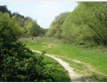 52056-photo-primavera-08-016-jpgjpg