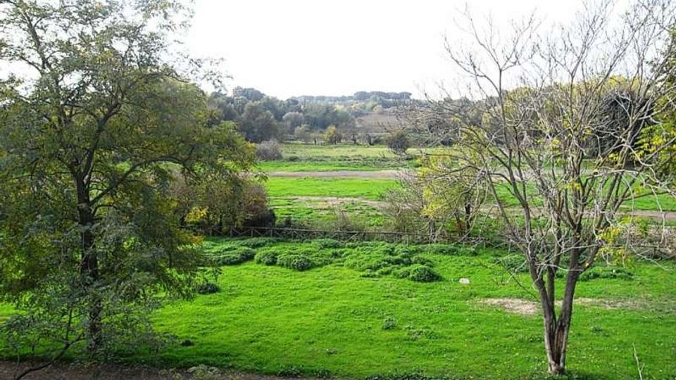 562-a5bb220d6ab09a5bcd7bd13004b9179fjpg