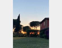 Giardino con ampio prato e alberi alti (pini e cipressi), con pergolato ricoperto di vegetazione sullo sfondo illuminato dal tramonto. A destra si vede una casa in mattoni rossi con tetto in tegole e cespugli fioriti lungo la parete.