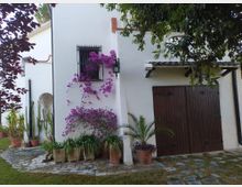 Cortile esterno di una casa con facciata bianca, finestra con inferriata e grande portone in legno sotto una piccola tettoia. Davanti, un vialetto in pietra con vasi di piante e una bouganville fucsia rampicante, ombreggiati da alberi.