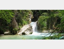 51852-photo-img-0194-jpgjpg