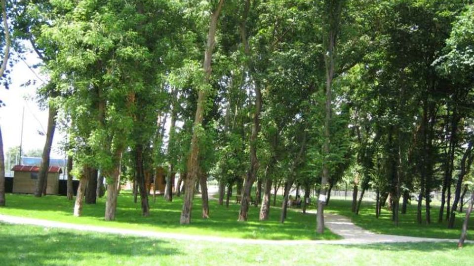 Parco alberato con molti alberi ad alto fusto e ampie aree di prato verde. Un sentiero chiaro curva tra gli alberi, con alcuni edifici bassi visibili sullo sfondo.