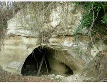 Ingresso di una piccola grotta scavata in una parete rocciosa chiara, con apertura bassa ad arco e sostegni in legno all’interno. Vegetazione e rami secchi ricoprono la parte superiore della roccia e il terreno davanti è coperto di foglie.