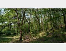 52131-photo-particolare-della-riserva-700x394-jpgjpg