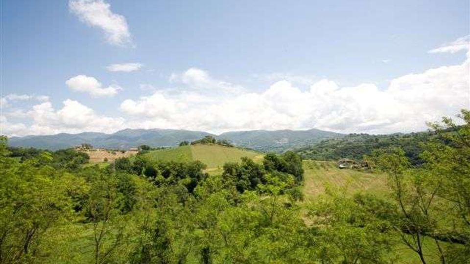 347-717fee1d491dcfe15855e83dacbe4e2fjpg