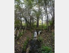 560-9b4d7946a2b10bee1279d846df4a10fbjpg