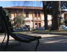 Panchina in legno e metallo in primo piano in un’area verde urbana con grandi alberi e vialetto. Sullo sfondo si vede una strada con auto parcheggiate e un edificio a due piani in laterizio e intonaco, con persiane scure e tetto in tegole.