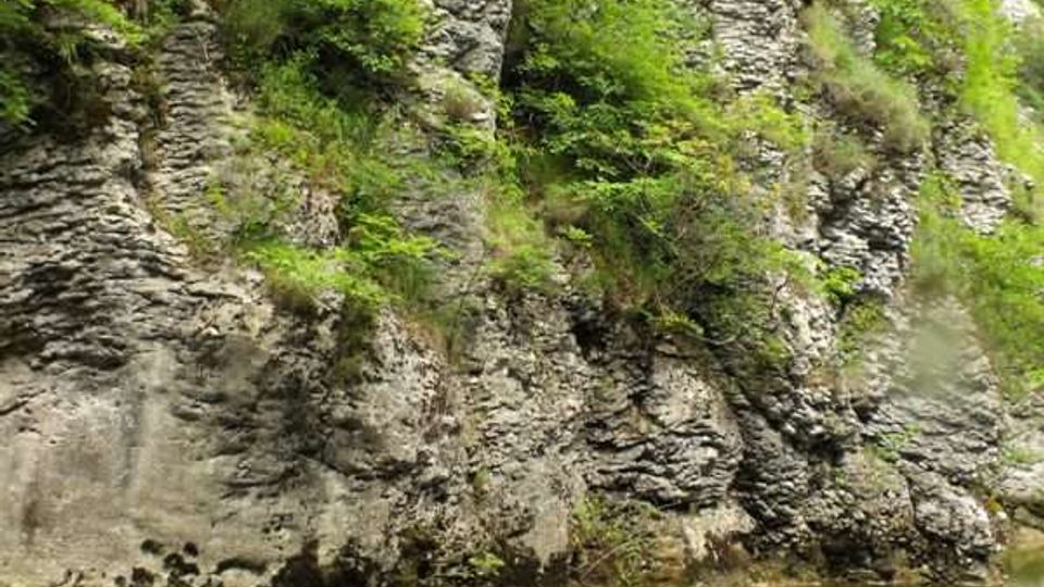 51901-photo-stream-in-lucretili-reserve-jpgjpg