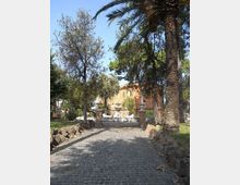 Vialetto in pietra che attraversa un parco alberato con palme e pini, delimitato da muretti di roccia. Sullo sfondo si vede un ingresso con pilastri e una villa storica color ocra tra la vegetazione.