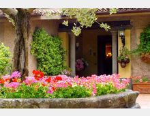 347-41915a99744c7a9a7708fd73a795fd49jpg