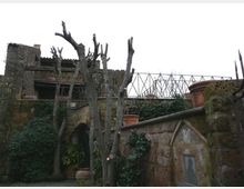 Cortile in muratura con alberi potati senza foglie e pareti di pietra coperte di edera, con grandi vasi in terracotta. Sullo sfondo si vedono un edificio rustico in pietra e una passerella o struttura metallica sopraelevata.