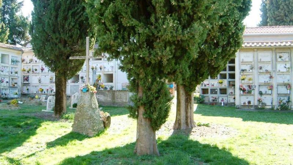Area di cimitero con prato e grandi cipressi in primo piano, con un monumento a croce su una base in pietra. Sullo sfondo si vedono edifici con loculi disposti in file e decorati con fiori e lapidi.