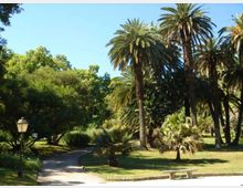 Viale curvo asfaltato in un parco con prato e fitta vegetazione, tra alte palme e alberi sempreverdi. Sul lato sinistro si vede un lampione e sullo sfondo il cielo sereno.