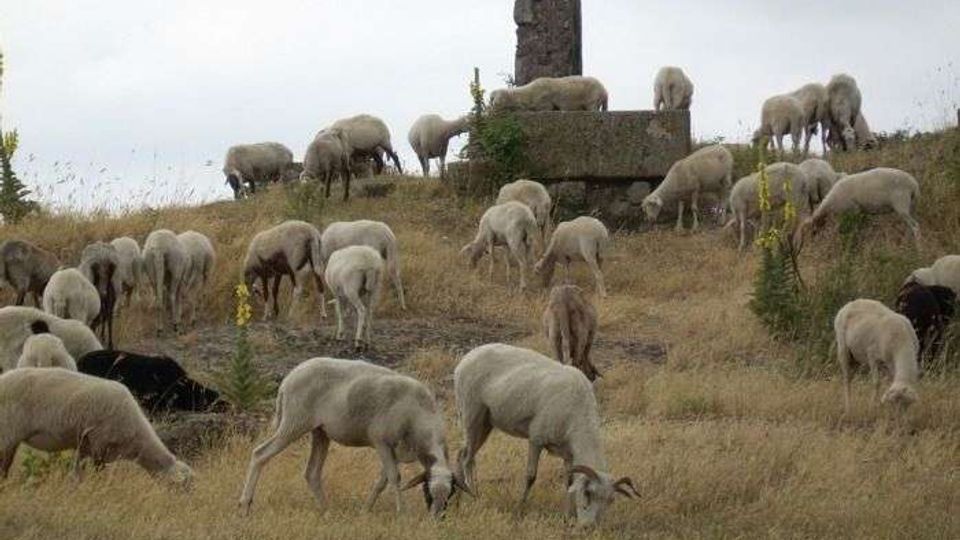 55915-photo-1715308-orig-jpgjpg