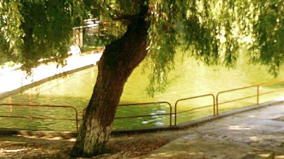 525-d111ec441e53800877a9e588b189f651jpg