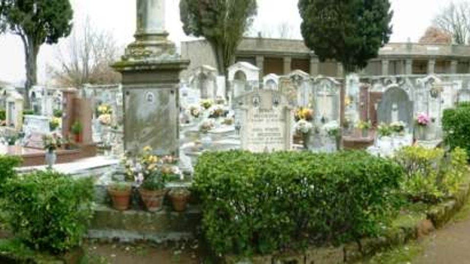 Viale centrale di un cimitero con tombe e lapidi in pietra, aiuole di siepi potate e vasi di fiori; sullo sfondo si vedono alberi alti e muri con loculi disposti in file.