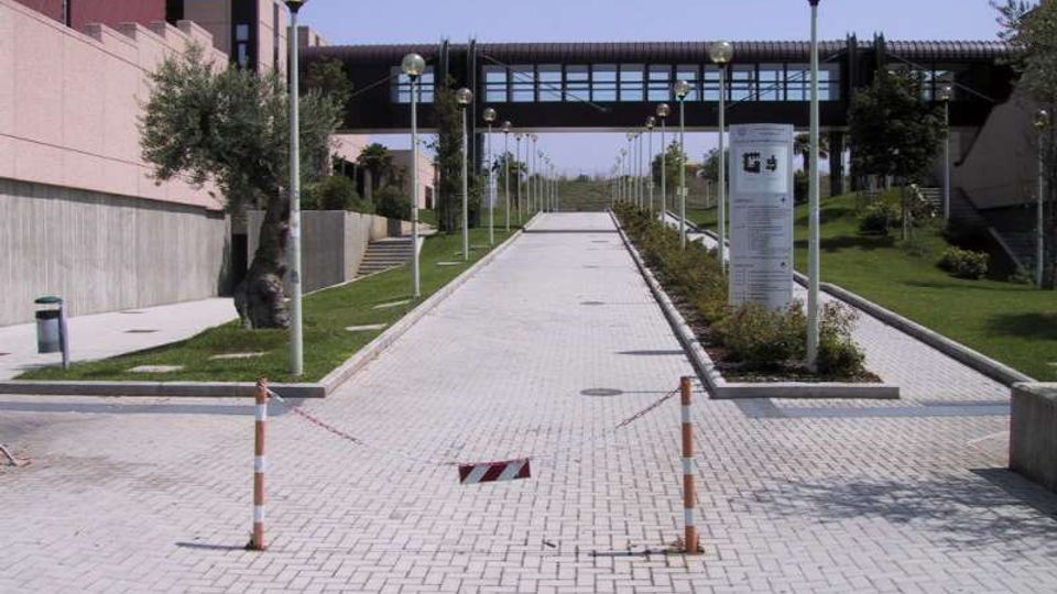 Viale pedonale pavimentato in blocchetti, fiancheggiato da lampioni e aiuole con prati e alberi, tra edifici moderni. In fondo si vede un passaggio sopraelevato vetrato che collega due strutture.