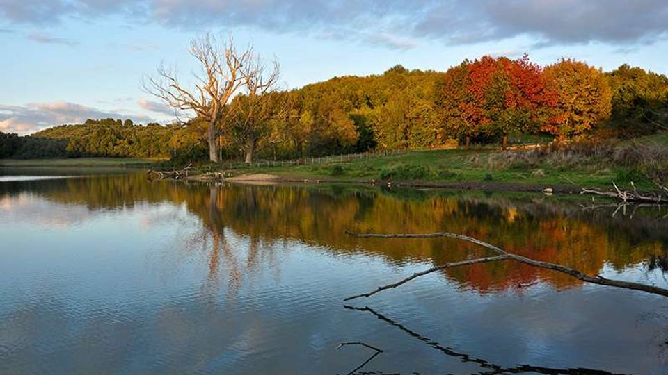 52524-photo-lago-di-giulianello-2-jpgjpg