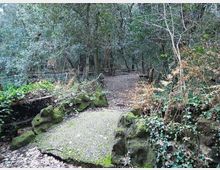 612-4c09aef6b6033c8a5ba42f23299ed27cjpg