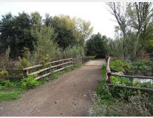 560-9356cc2c11ad3303bba493524b80491ajpg