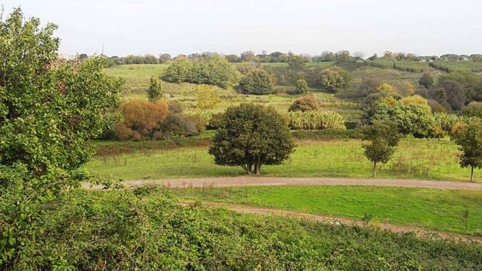 560-c12cb15bd9b66d3915d43a43715bc8d1jpg