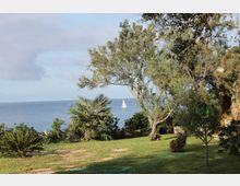 Giardino costiero con prato e sentiero in pietra, circondato da palme e alberi, affacciato sul mare. All’orizzonte si vede una barca a vela su acqua calma sotto un cielo parzialmente nuvoloso.