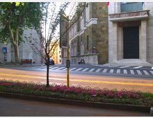 Vista di una strada urbana con attraversamento pedonale, un’aiuola con fiori rosa e piccoli alberi in primo piano. Sullo sfondo si vedono edifici in pietra e mattoni con grandi ingressi e finestre, lungo un incrocio.