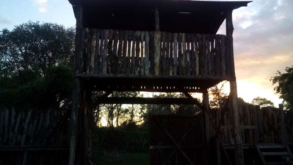Torretta in legno rustica sopraelevata con tetto sporgente e pareti a listelli, montata su pali e accessibile tramite una scala laterale. La struttura si trova in un’area esterna recintata con alberi sullo sfondo e cielo al tramonto.