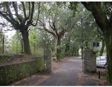 290-36556b16fa445325b31ff0c8c40b08d1jpg