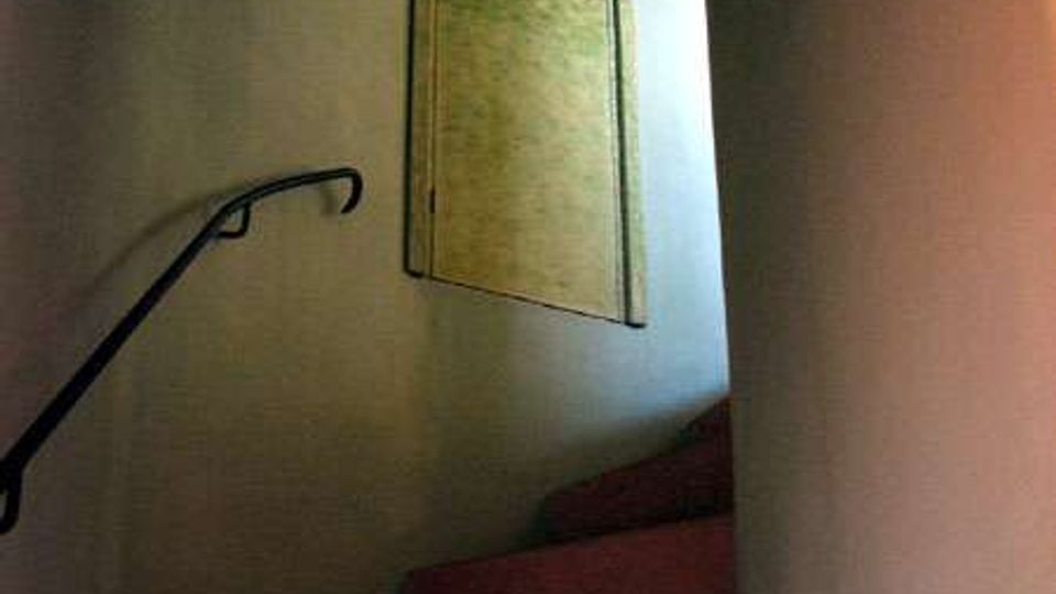 3005-724ca58ed89cc445e685459b5250633ajpg