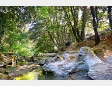 51888-photo-cid291-parco-veio-flora-fauna8-jpgjpg