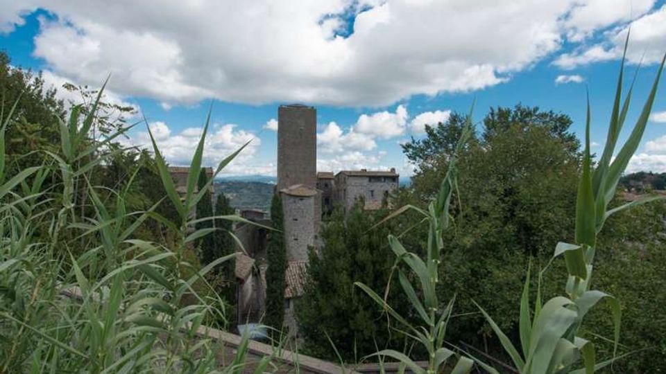 Vista panoramica di un borgo storico con edifici in pietra e una torre rettangolare alta al centro, circondati da alberi. In primo piano si vedono alte piante erbacee, con colline sullo sfondo sotto un cielo parzialmente nuvoloso.
