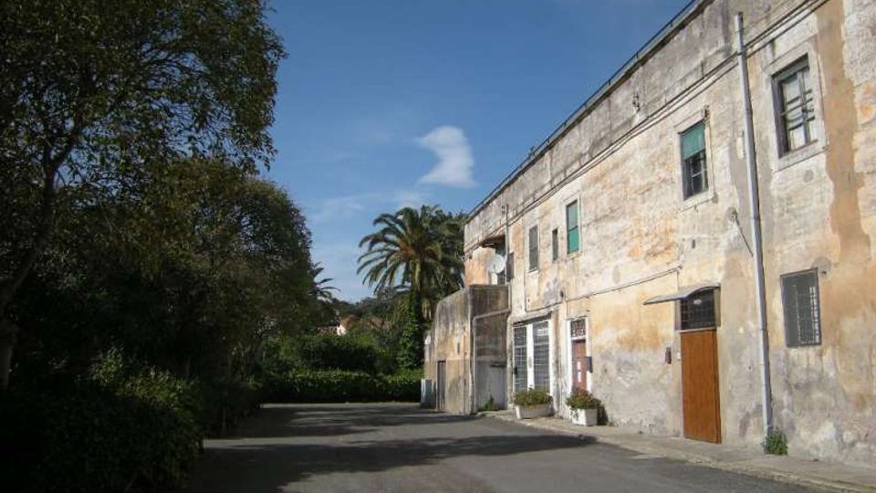Edificio rurale a due piani con facciata in intonaco usurato, porte e finestre semplici, affacciato su una strada asfaltata. Ai lati ci sono vegetazione fitta e alberi, con una palma sullo sfondo sotto un cielo sereno.