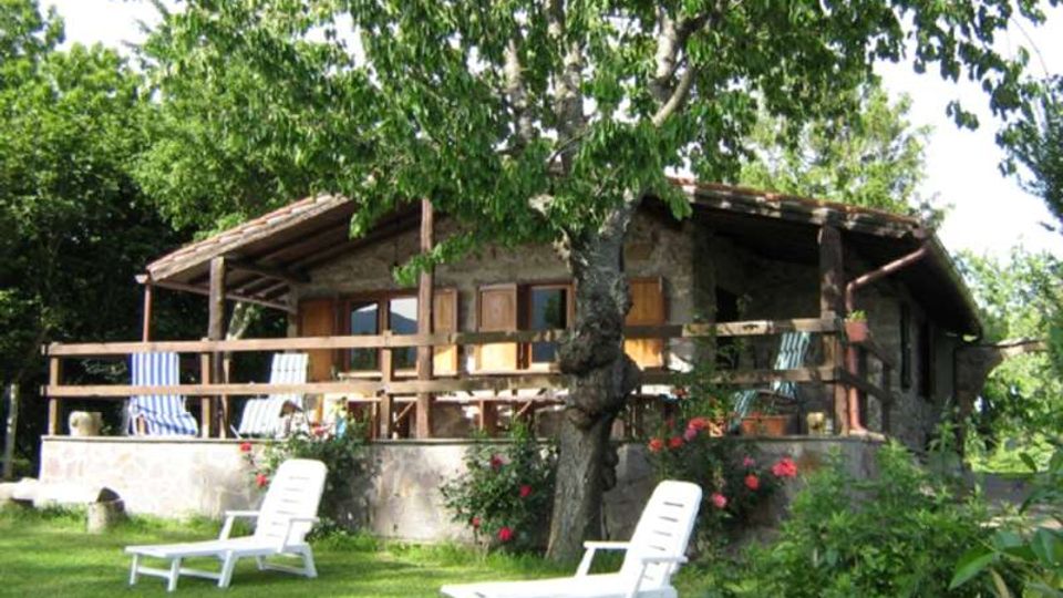 209-833cea8bcad0533193bad8a9b4a24e4djpg