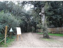 612-a228f69eb032588de3d8b6106713d489jpg