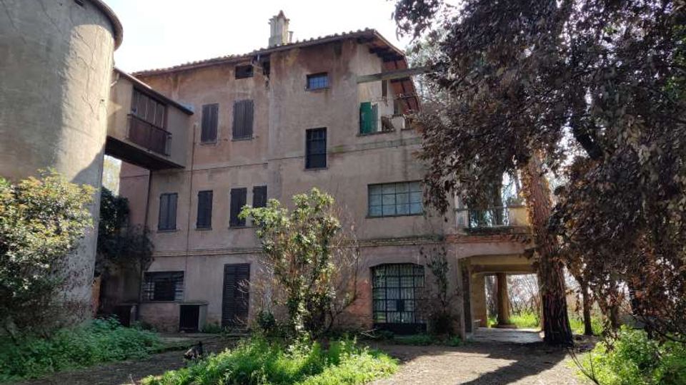 58038-photo-img-20210311-124924-jpgjpg