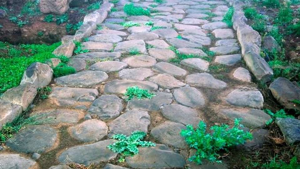 Antica strada lastricata in pietra con bordi rialzati, parzialmente coperta da erba e vegetazione che cresce tra i ciottoli. Il percorso attraversa un terreno aperto e umido con cespugli e alberi spogli sullo sfondo in condizioni di foschia.
