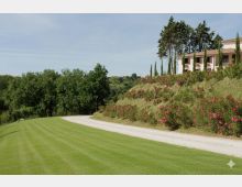 Strada bianca sterrata che curva accanto a un prato verde curato, ai piedi di una collina con cespugli fioriti rosa. In alto si vede una villa in stile rurale con tetto in tegole, circondata da cipressi e alberi.