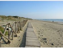 52165-photo-spiaggia-ostia-jpgjpg