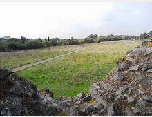 560-9c56fa89000ebb6f226265f086244540jpg